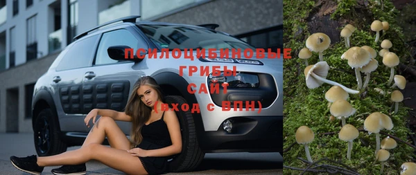 кокс Дмитров