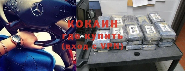 ПСИЛОЦИБИНОВЫЕ ГРИБЫ Елизово