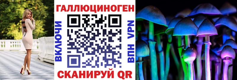 Купить где  Руза  Галлюциногенные грибы GOLDEN TEACHER 